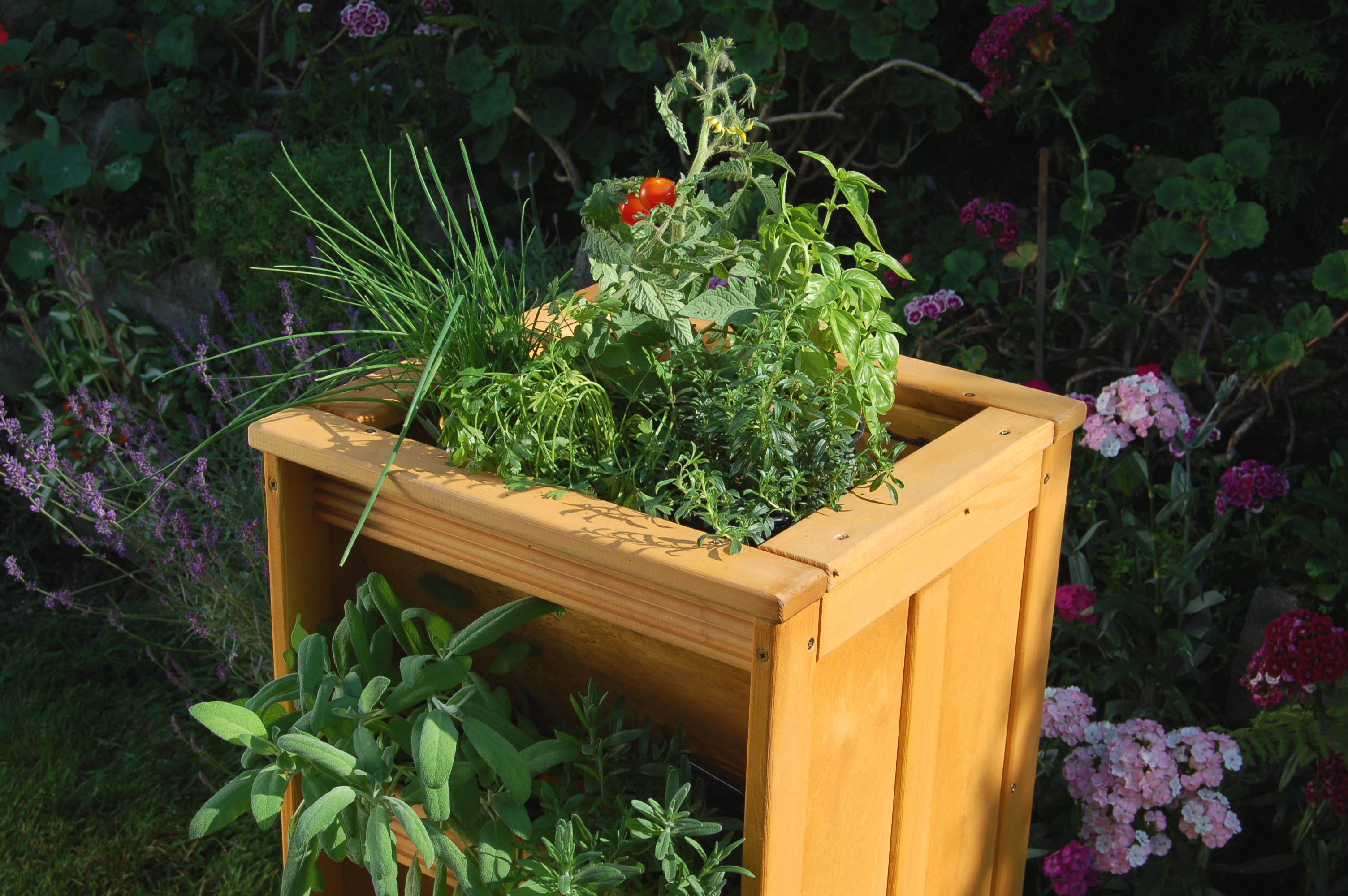 Kräutergarten - Image 3