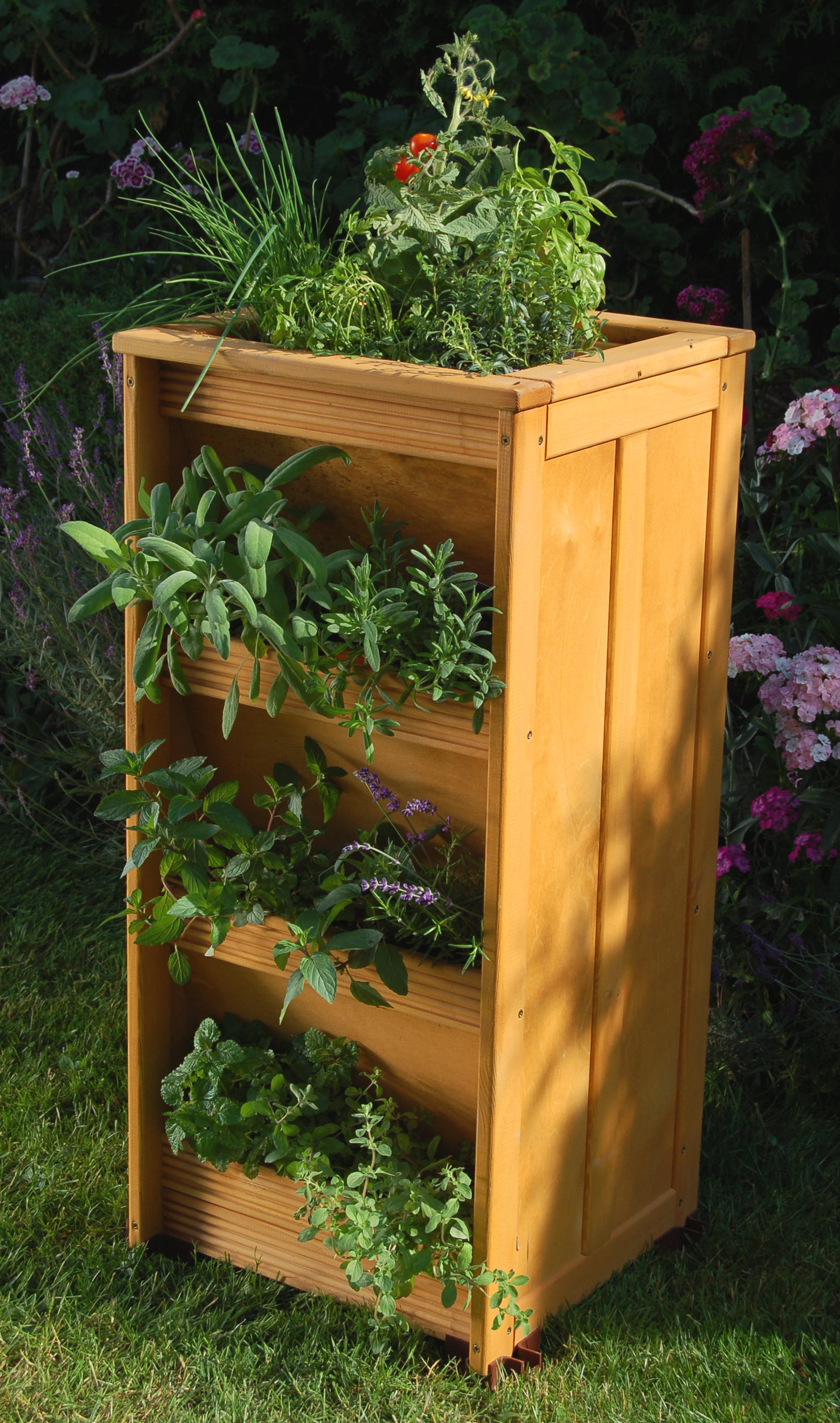 Kräutergarten - Image 2